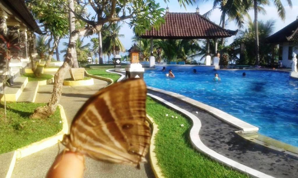 Bali Sunset Hotel Negara  Экстерьер фото